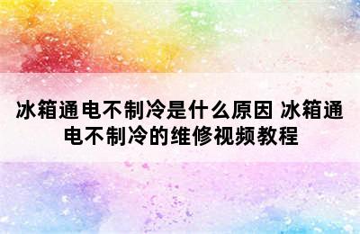 冰箱通电不制冷是什么原因 冰箱通电不制冷的维修视频教程